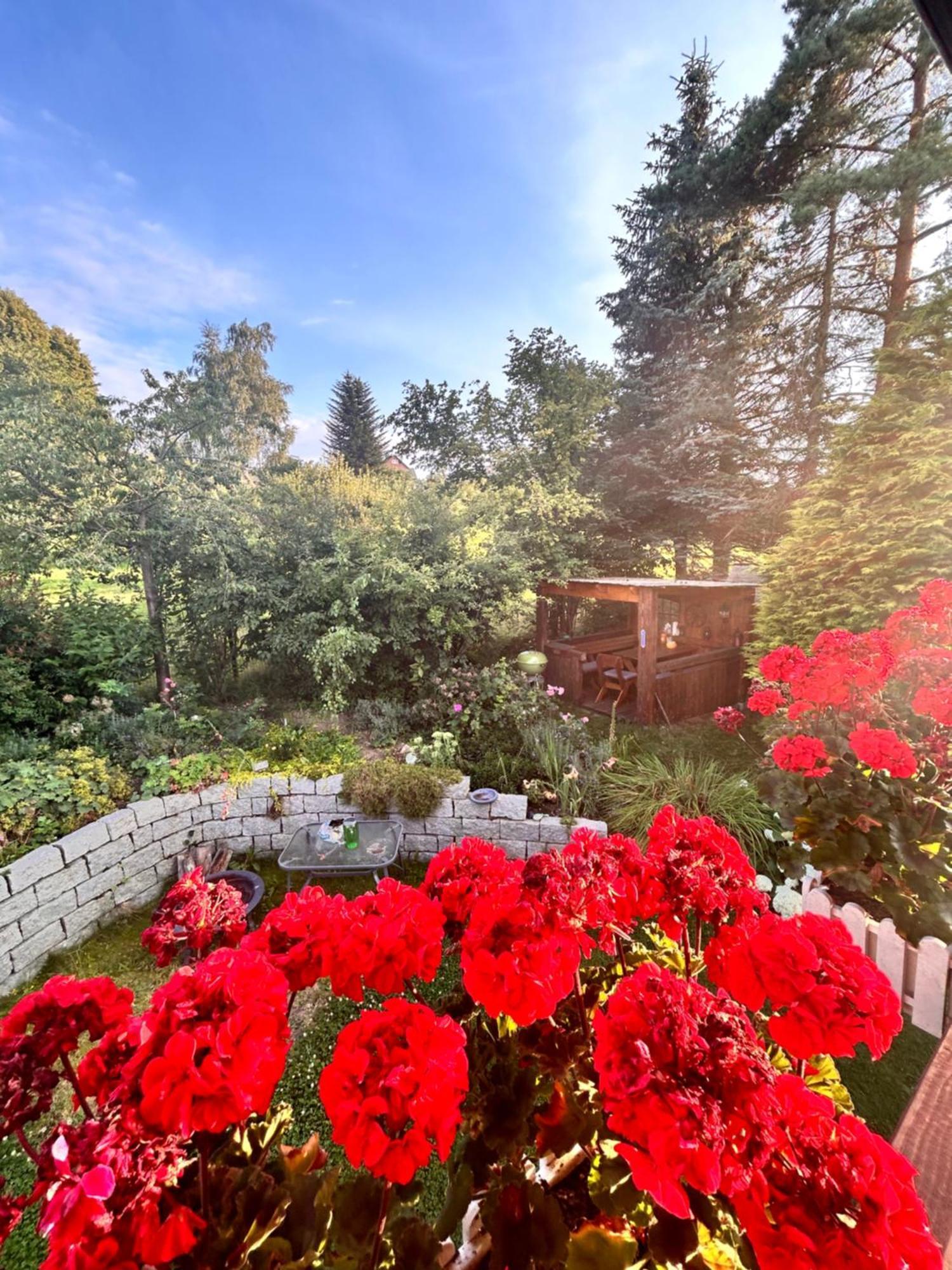 Ferienwohnung Mit Gartennutzung, Garage Und Wallbox Ebersbach-Neugersdorf エクステリア 写真